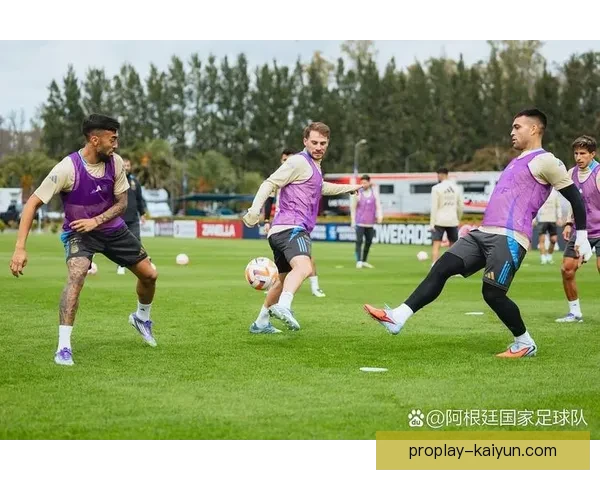 阿根廷队战术趋势分析：适应性提升与技术打法深化